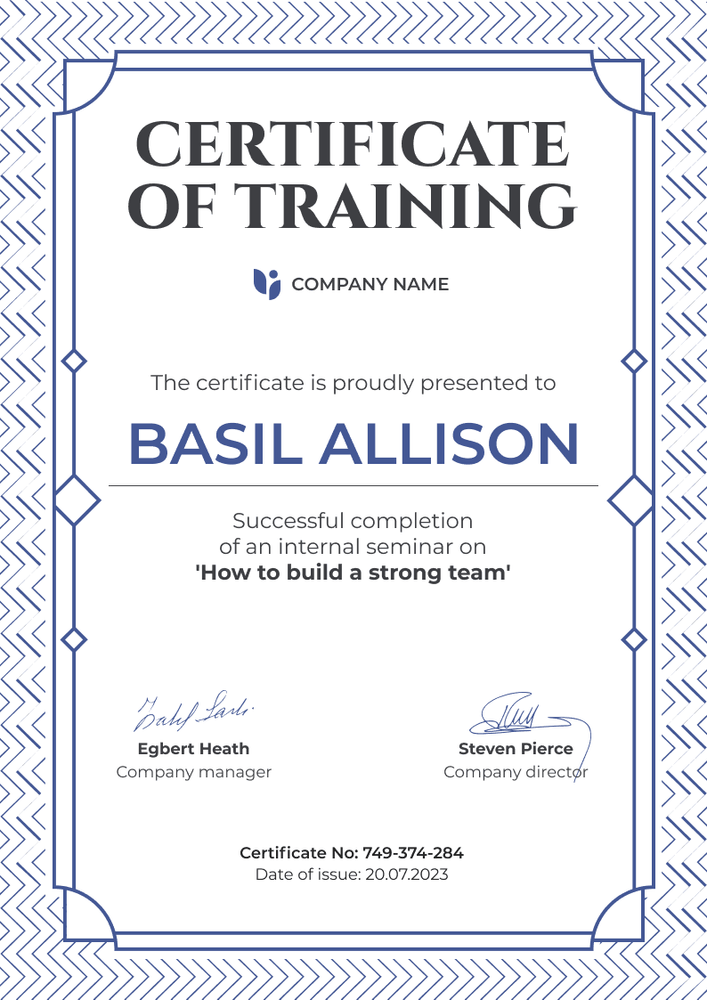 Simple and framed certificate of training template portrait