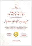 red simple certificate of recognition portrait 12370
