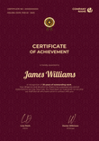 burgundy formal certificate of achievement portrait 12727