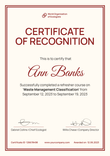 Plain and neat certificate of recognition template portrait