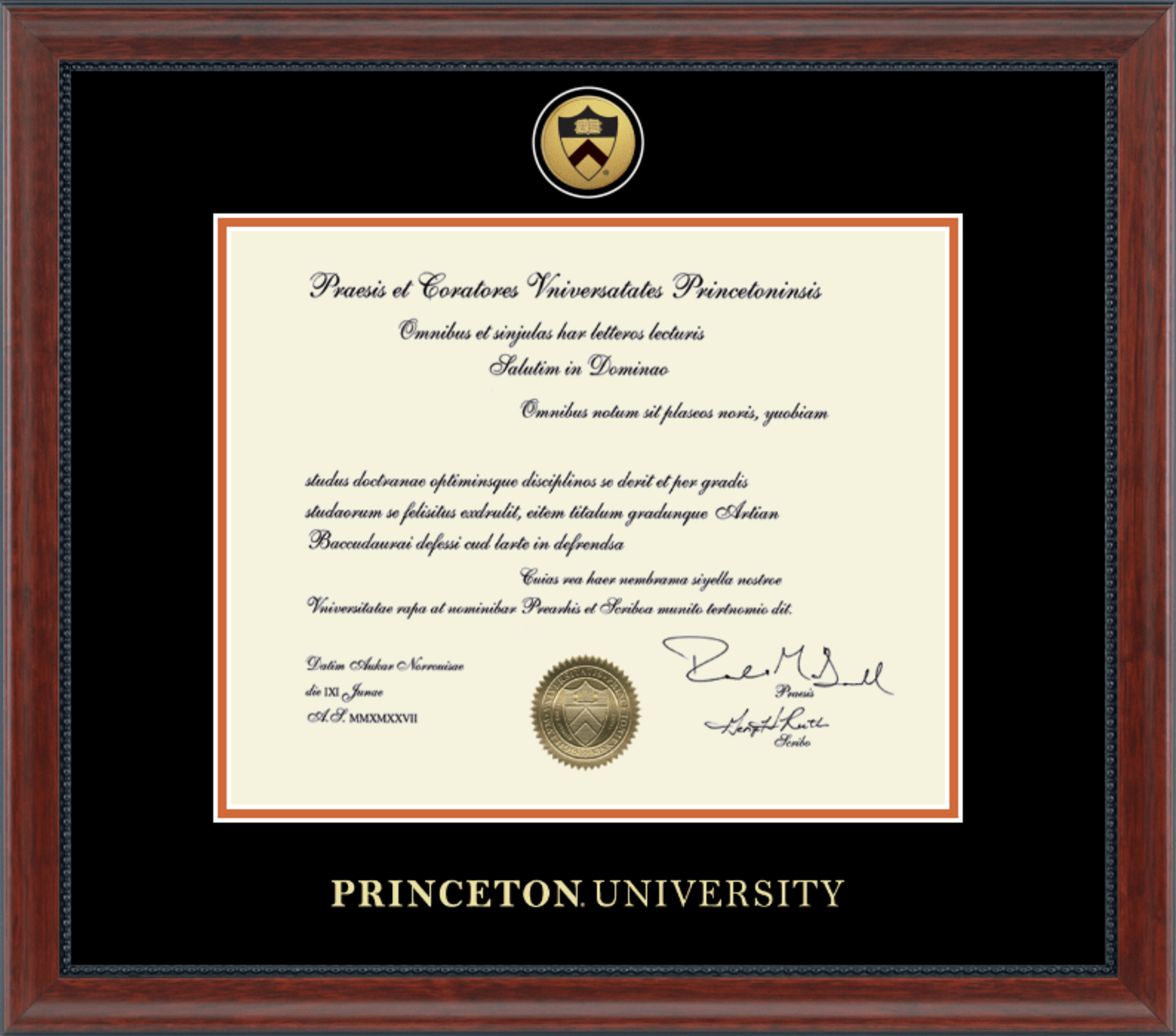 Princeton University Diploma Certificate