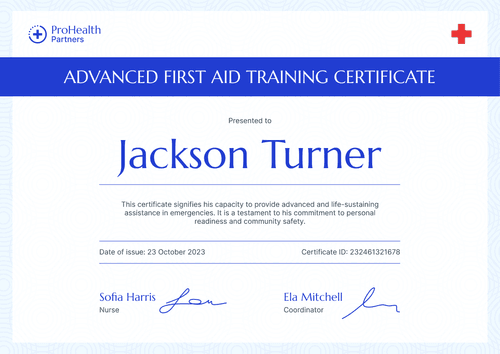 Professional and Subtle First-Aid and CPR Certificate Template landscape Professional and Subtle First-Aid and CPR Certificate Template landscape