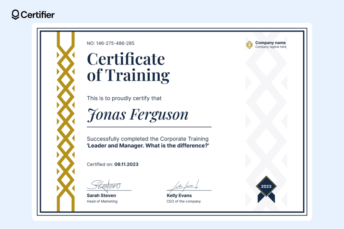 Certificate of training with golden elements and subtle background.