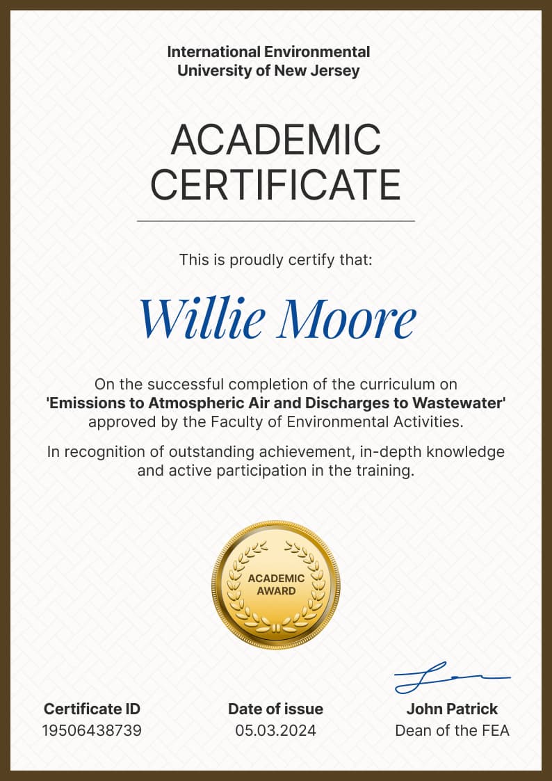 Elementary and professional academic certificate template Elementary and professional academic certificate template