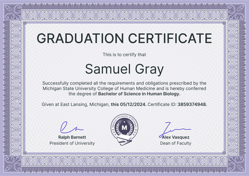 Framed professional graduation certificate template landscape Framed professional graduation certificate template landscape