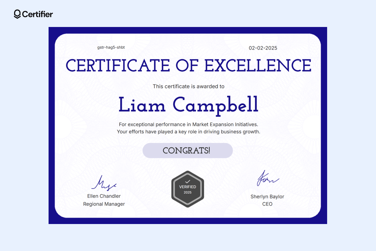 15 Certificate of Excellence Templates to Download