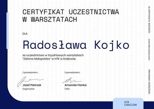 Darmowy elegancki dyplom uczestnictwa wzór – pozioma Darmowy elegancki dyplom uczestnictwa wzór – pozioma