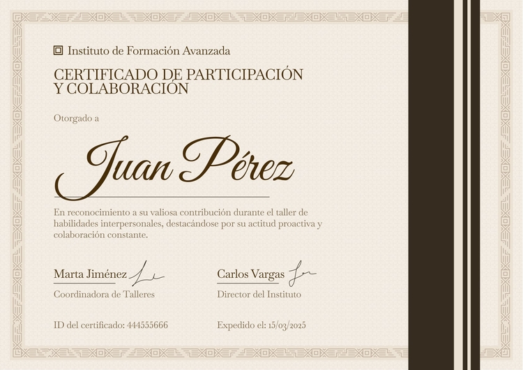 Plantilla de certificado de participación profesional corporativa Plantilla de certificado de participación profesional corporativa