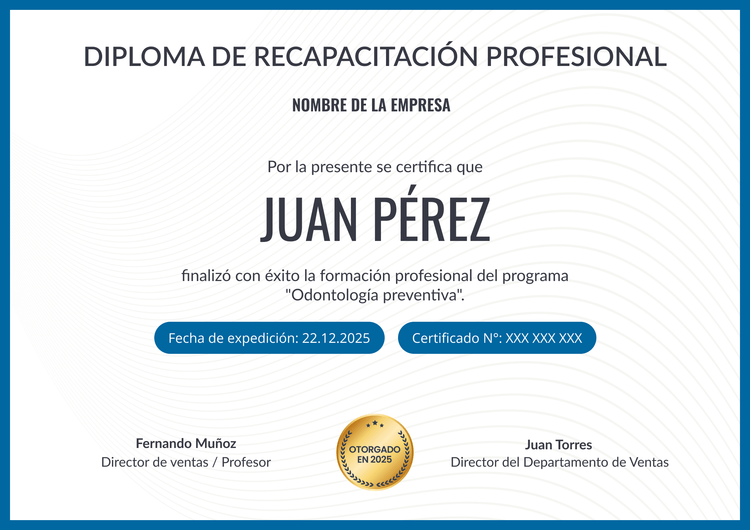 Plantilla diploma profesional e imprimible Plantilla diploma profesional e imprimible