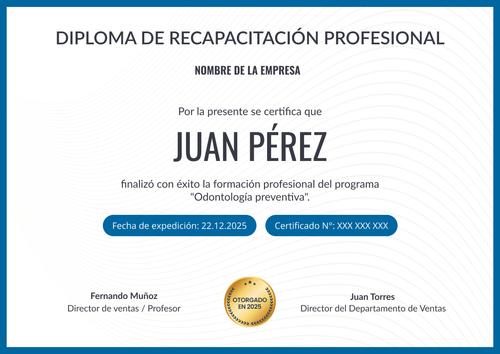 Plantilla diploma profesional e imprimible – Horizontal Plantilla diploma profesional e imprimible – Horizontal