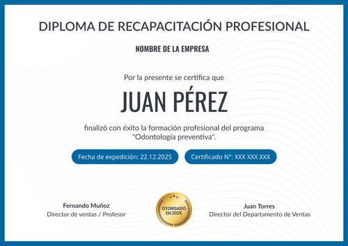 Plantilla diploma profesional e imprimible – Horizontal Plantilla diploma profesional e imprimible – Horizontal
