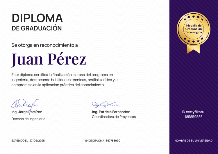 Plantilla diploma profesional organizada en violeta Plantilla diploma profesional organizada en violeta