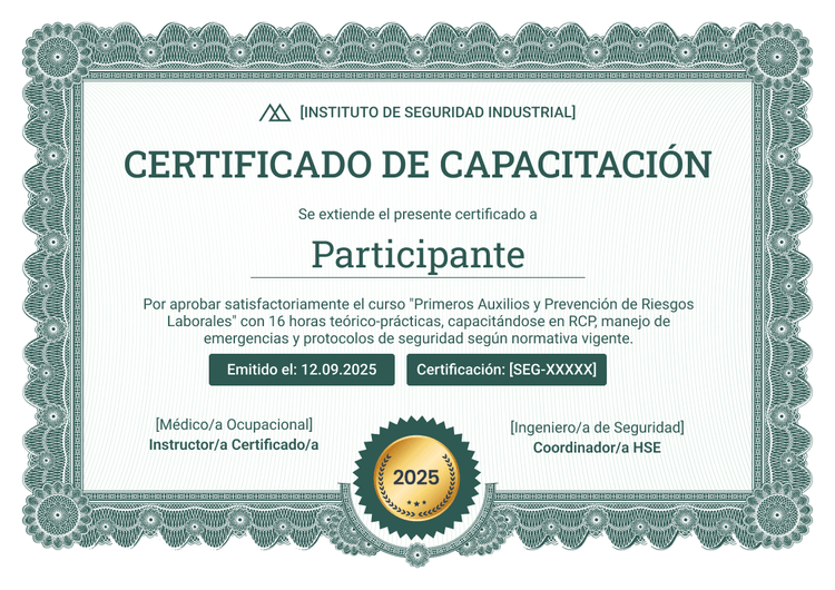 Modelo de certificado de capacitación profesional y decorativo Modelo de certificado de capacitación profesional y decorativo
