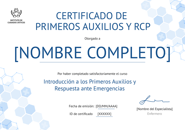Modelo de certificado de primeros auxilios ligero y profesional Modelo de certificado de primeros auxilios ligero y profesional