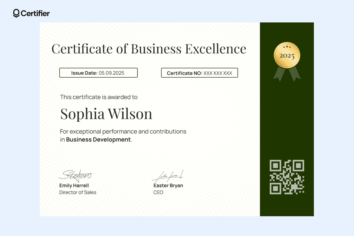 15 Certificate of Excellence Templates to Download