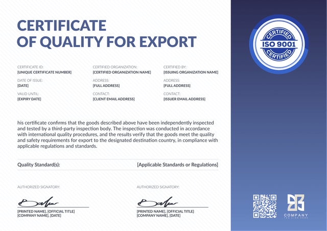 Professional and geometric certificate of quality template